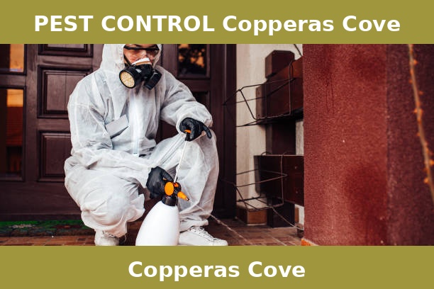 PEST CONTROL Copperas Cove